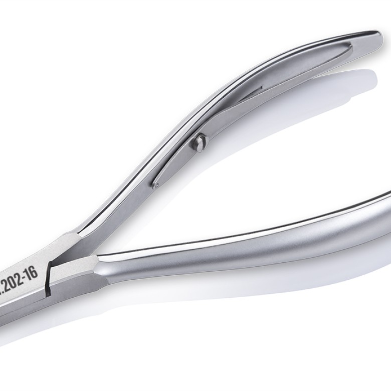 Cleste cuticula CN.202-16